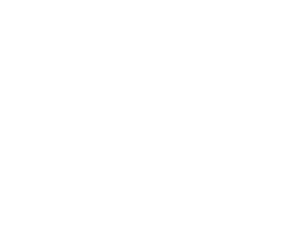 Virtuo